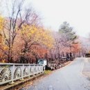 도사곡휴양림야영장 이미지