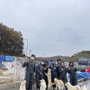 모아 dog | [Dog실한 우리] 유기견보호소 봉사