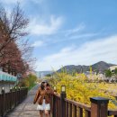 호키소프트 이미지