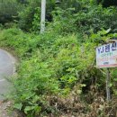 YJ펜션(고운산장) 이미지