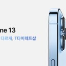 블루테라 브런치