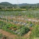 관청농장 이미지