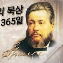 포도나무365