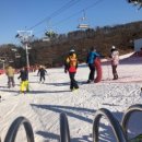 양지파인리조트 이미지