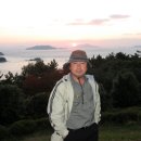 산양일주도로가로수 이미지