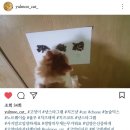 캣앤뷰티 네이버블로그
