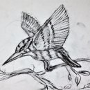 보태니컬 이미지