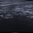 노형동물병원 이미지