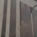 스테이 무어 이미지