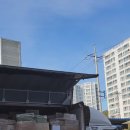 펫클럽샵 이미지