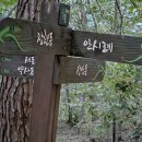 황방산 맨발걷기 이미지