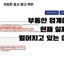 더라인부동산중개 이미지