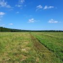 단일농장 이미지