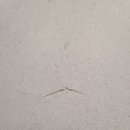 효령로49길 57 (2) 이미지