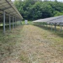 뿌리 태양광발전소 이미지