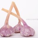 세계푸드테라피협회 초보자도 편한 요리학원, 왜 선택했을까?