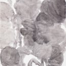 파라디소 이미지