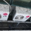 비둘기밧데리 이미지