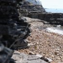 공룡 발자국화석지 이미지