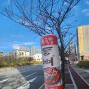 등뼈가 산하점 이미지