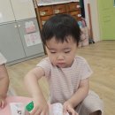 규인농장 Daum카페