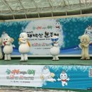 (1) 태백 눈꽃 축제 ( 대덕지점 2015, 01, 28) 이미지