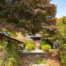 조견사우 이미지