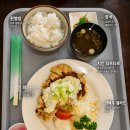 [나고야 본산 런치 맛집] 카페레스트 BONBON, 치킨타르타르·가라아게 정식 후기
