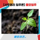 나침반여행사주 이미지