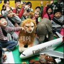 서울시청직장어린이집 이미지