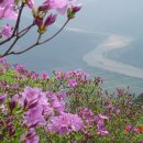 86회 하동악양 성제봉 철쭉산행(5월24일) 이미지