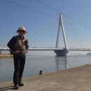 고도교차로~해남교차로 이미지