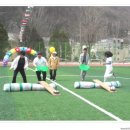 고한초등학교 이미지