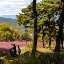 가산수피아 이미지