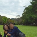 단남 | 서울 근교 당일치기 가평 춘천 여행 남이섬 동선 즐길거리 먹거리 팁