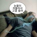 5월 삶 관찰하기