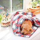 강아지나라동물병원 이미지