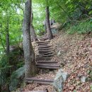 곡성-268 이미지