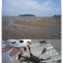 서산글램핑 이미지