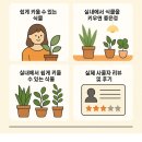 초보 가드너를 위한 여름 식물 인테리어 | 초보 가드너를 위한 베란다 가드닝 팁