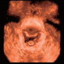 군산24시 제일동물병원 이미지