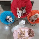 옹기종기 이미지