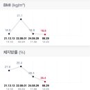 베리뜨테라피