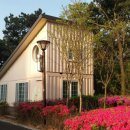 솔숲작은도서관 이미지