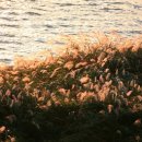 김소월「엄마야 누나 이미지