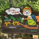 팔공산 둘레길 4구간 이미지