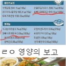 서울깍두기 이미지