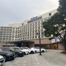 [경주] 5성급 호텔 추천 : 힐튼 경주 디럭스 킹 베드 2개 &amp; 룸서비스 이용 후기
