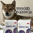 문덕수퍼 | 강아지 유산균 추천 재급여 중인 모두 보울라디 맥스 후기!
