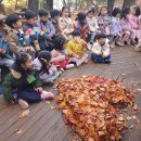 11월14일 송파구청,송파꿈꾸는,반디,송파레미니스,풍납어린이집 이미지